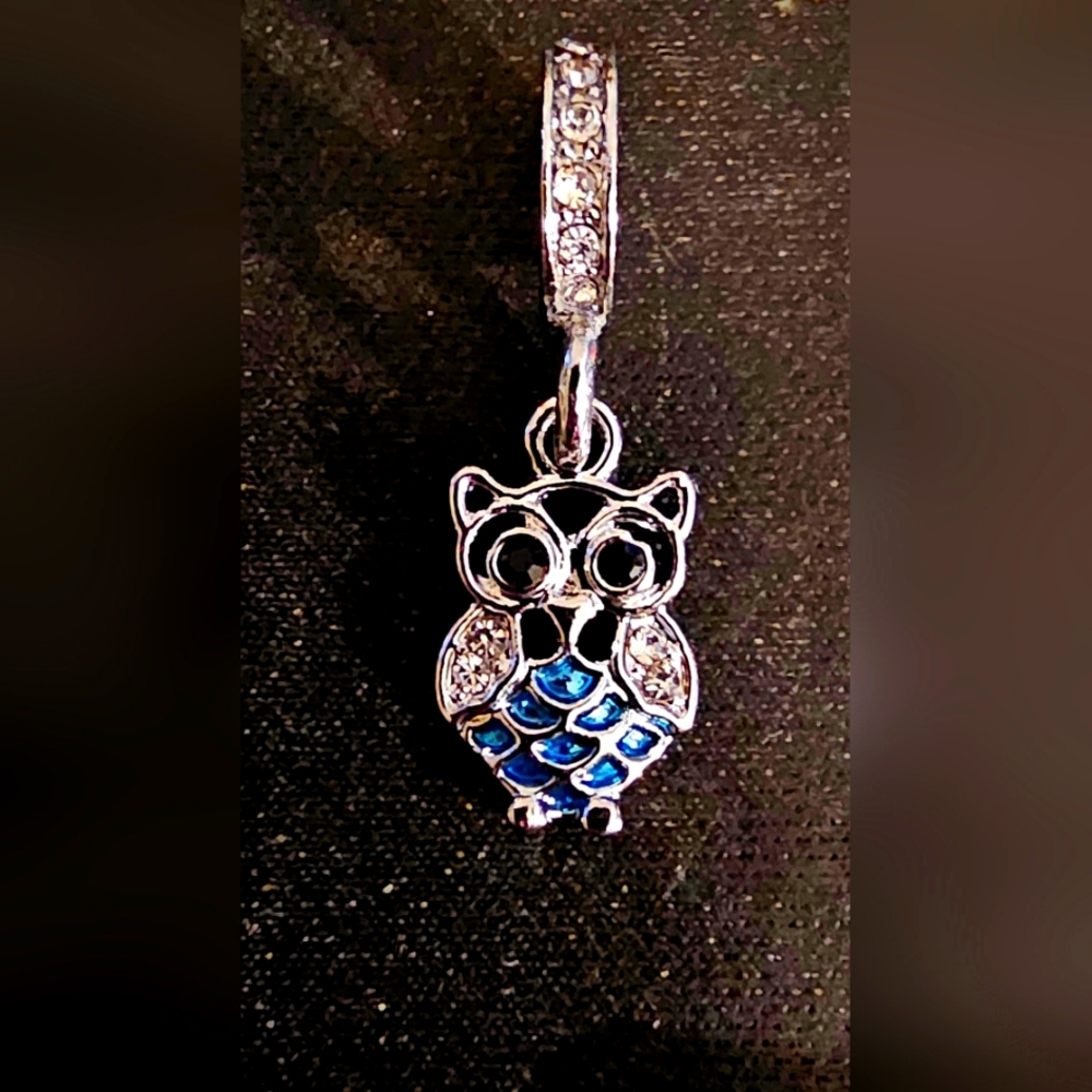 Adorable Owl Europeon Style  Charm